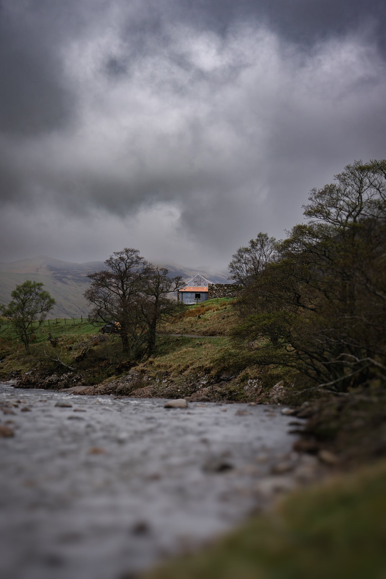 The Cottage